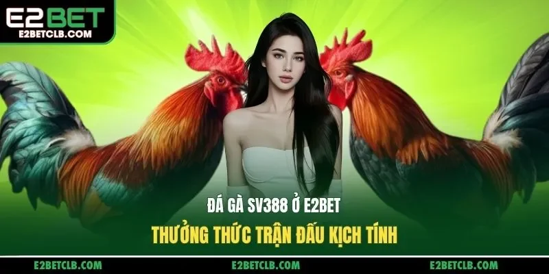 Đá gà sv388