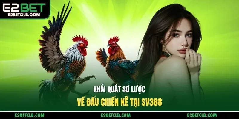 Khái quát sơ lược về đấu chiến kê tại SV388